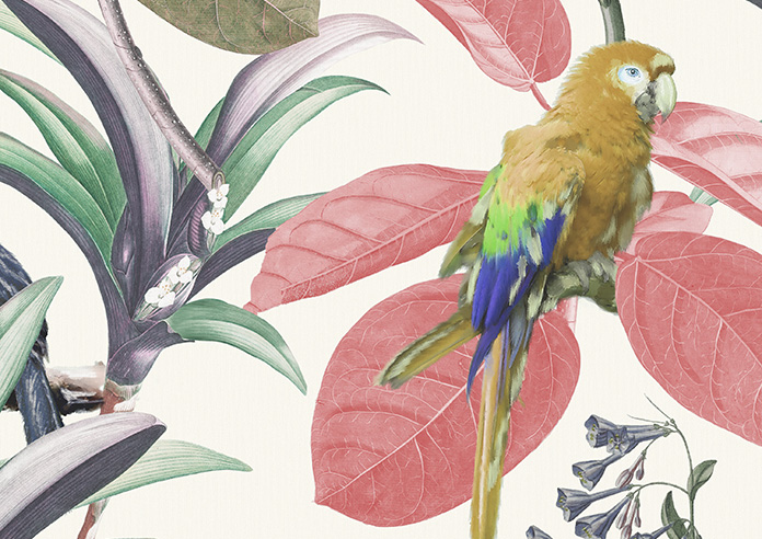 Parakeet, Fruit Punch - Roller Blind - Image 6